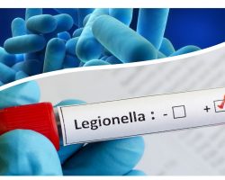 Formación para profesionales de la legionela